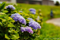 梅雨の晴れ間１