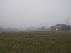 1のきりのあさ1