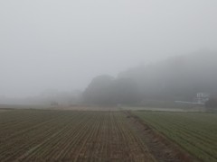 1のきりのあさ2