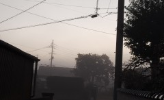 1の１８のあさ1