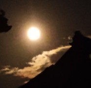 1の五のよわる1