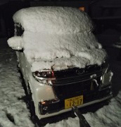 1の雪1